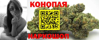прущие грибы Изобильный