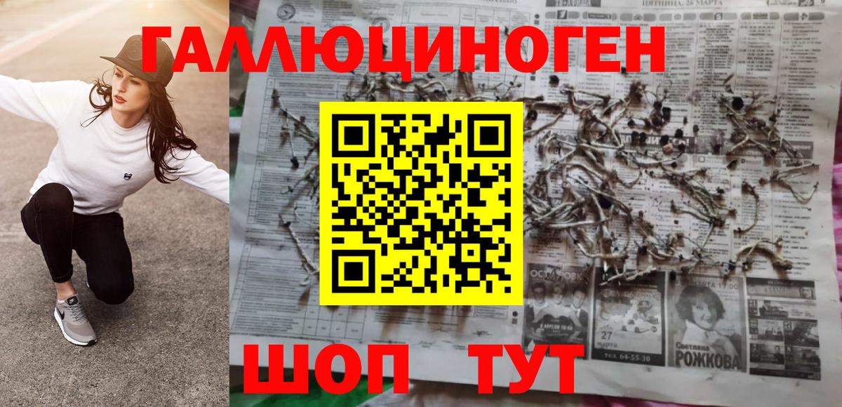 Псилоцибиновые грибы Psilocybine cubensis Новокузнецк