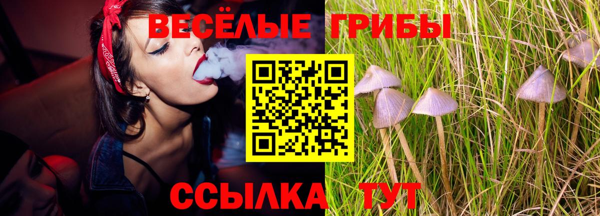 Новокузнецк  Галлюциногенные грибы Magic Shrooms  Псилоцибиновые грибы Magic Shrooms  Вход с VPN 